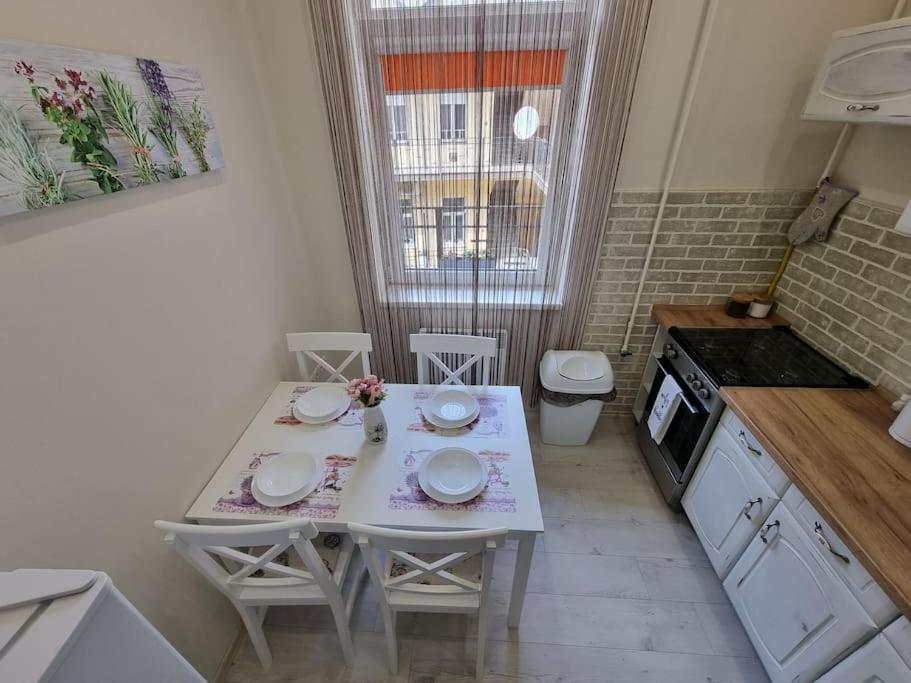 Vintage Apartman In City Center Miskolc Buitenkant foto